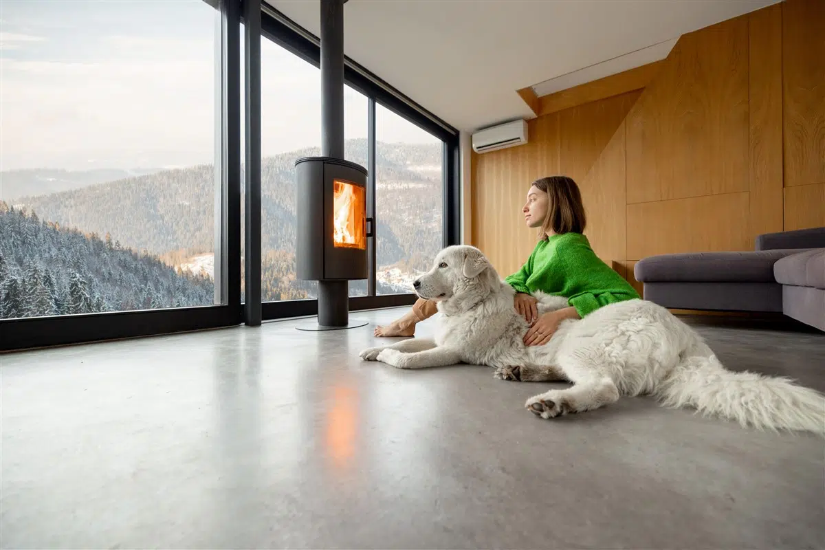 Tout savoir sur le concept d'habitat