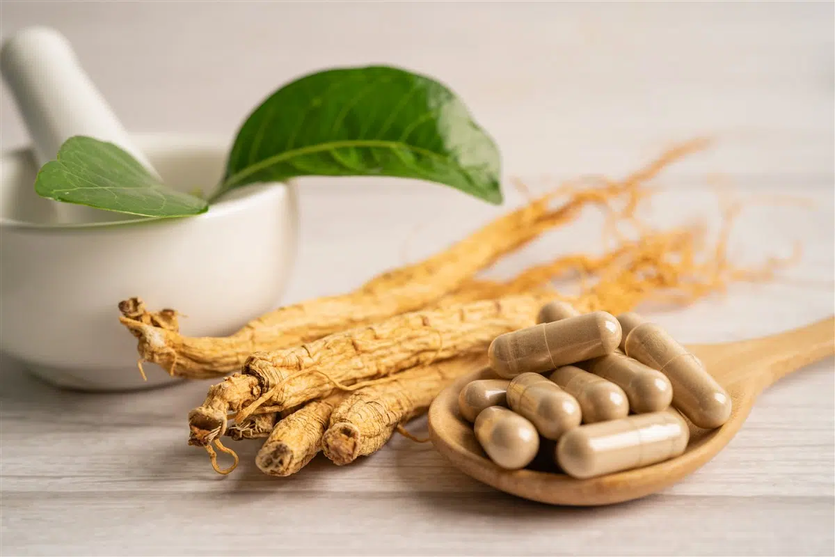 Utilisations Expliqués de Ginseng Frais
