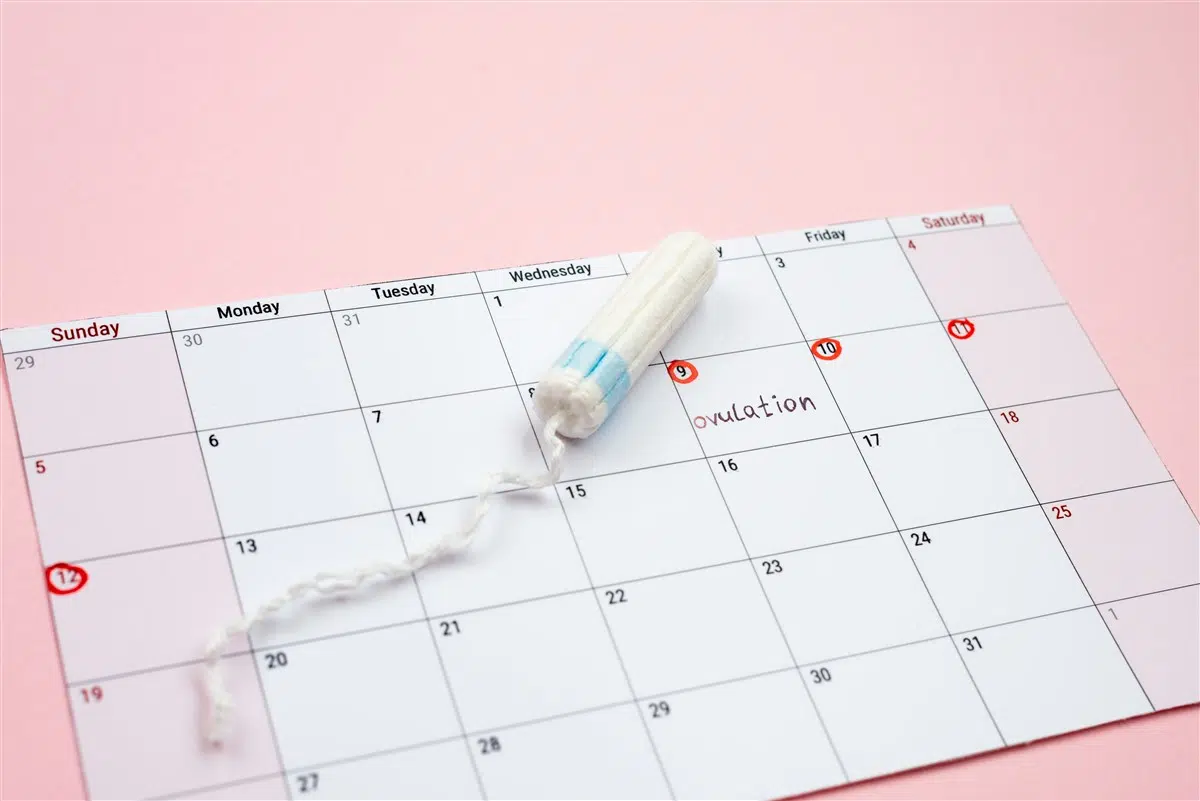 calculer son cycle menstruel