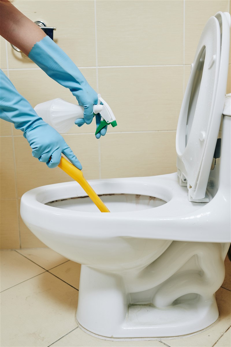 Techniques écologiques pour éliminer le tartre des cuvettes de toilettes