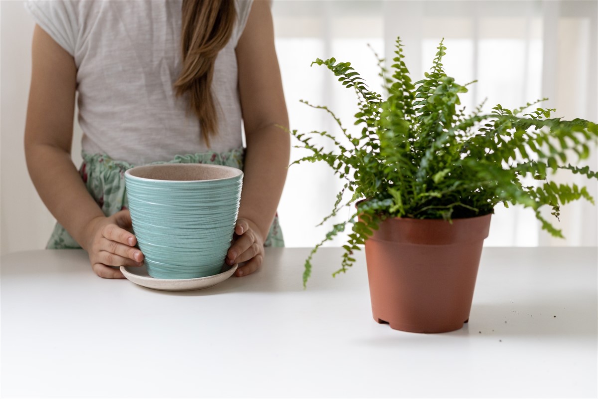 pots de fleurs éco-responsables