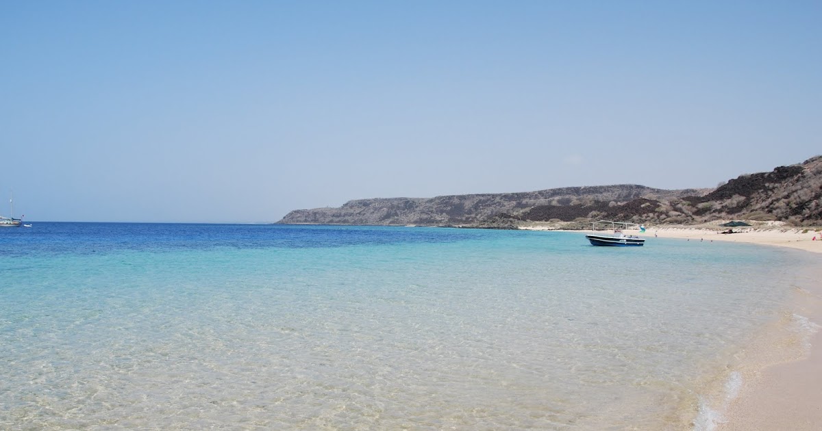 La vérité surprenante derrière les sables blancs : l’impact des déjections