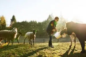 agriculture biologique